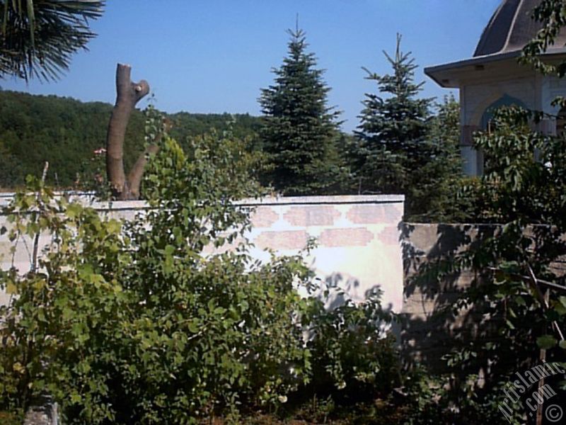Yalova ilimizdeki G�k�edere K�y�`nde bulunan Ensar Camisi`nin �ad�rvan� ve bah�esinden bir g�r�nt�.
