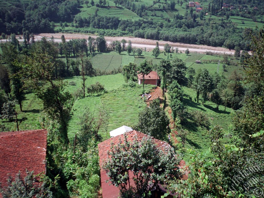 View of village from `OF district` in Trabzon city of Turkey.

