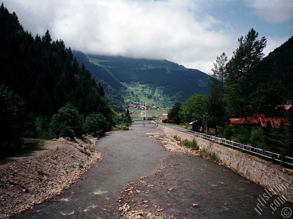 Trabzon Uzungl Yaylas`ndan bir manzara.
