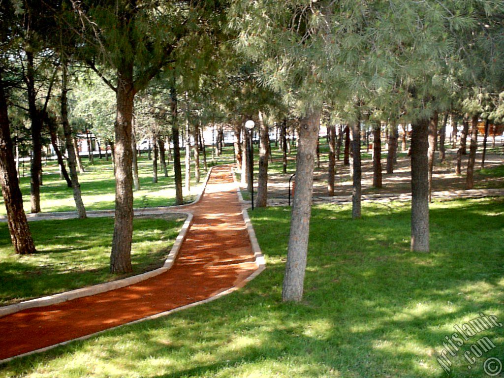 View of a park in Fethiye district in Bursa city of Turkey.
