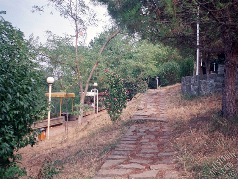 View of a park from `OF district` in Trabzon city of Turkey.
