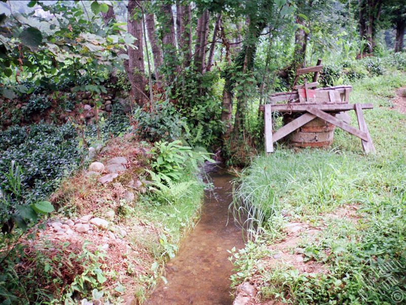 View of village from `OF district` in Trabzon city of Turkey.
