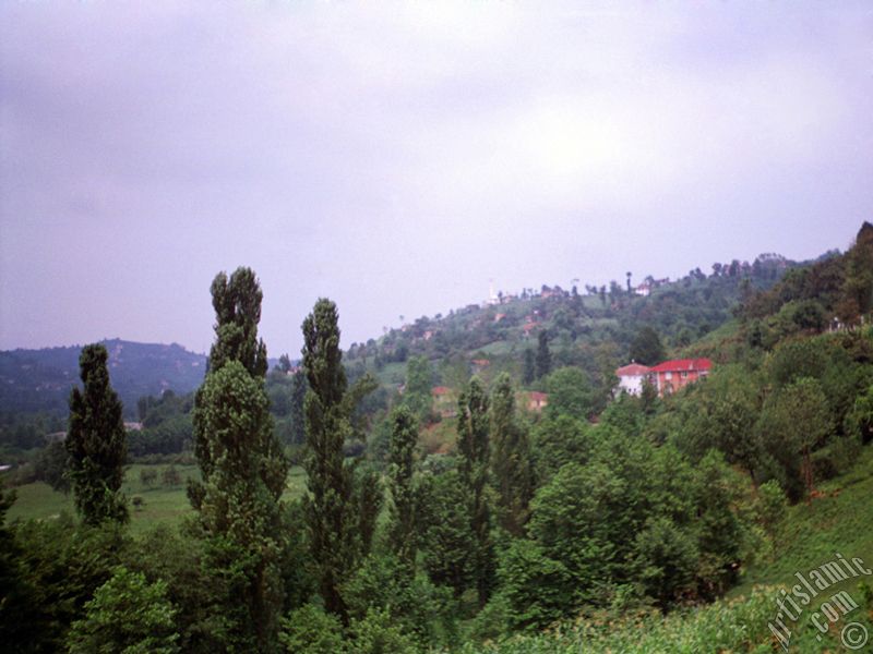 Trabzon`a bağlı Of ilçemizden bir köy manzarası.
