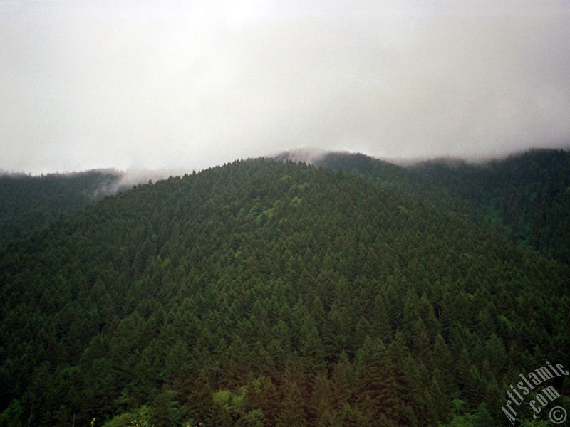 Trabzon Uzungöl Yaylası`ndan bir manzara.

