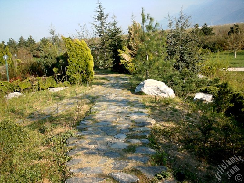 Bursa Botanik Parkından bir manzara.
