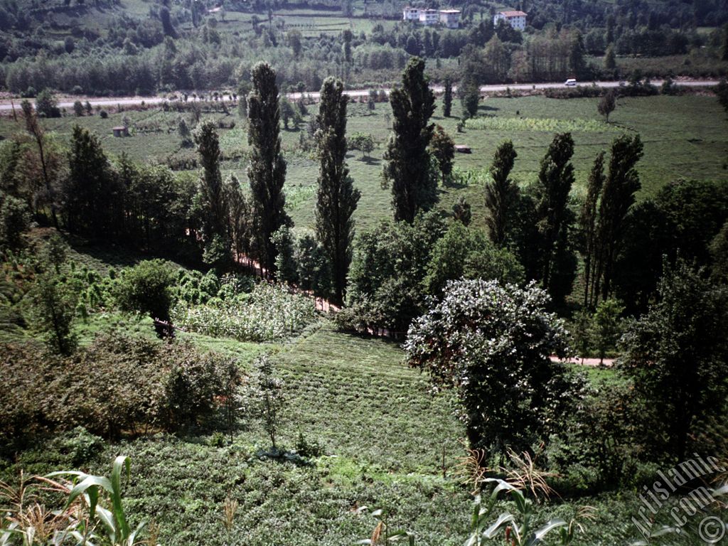 View of village from `OF district` in Trabzon city of Turkey.
