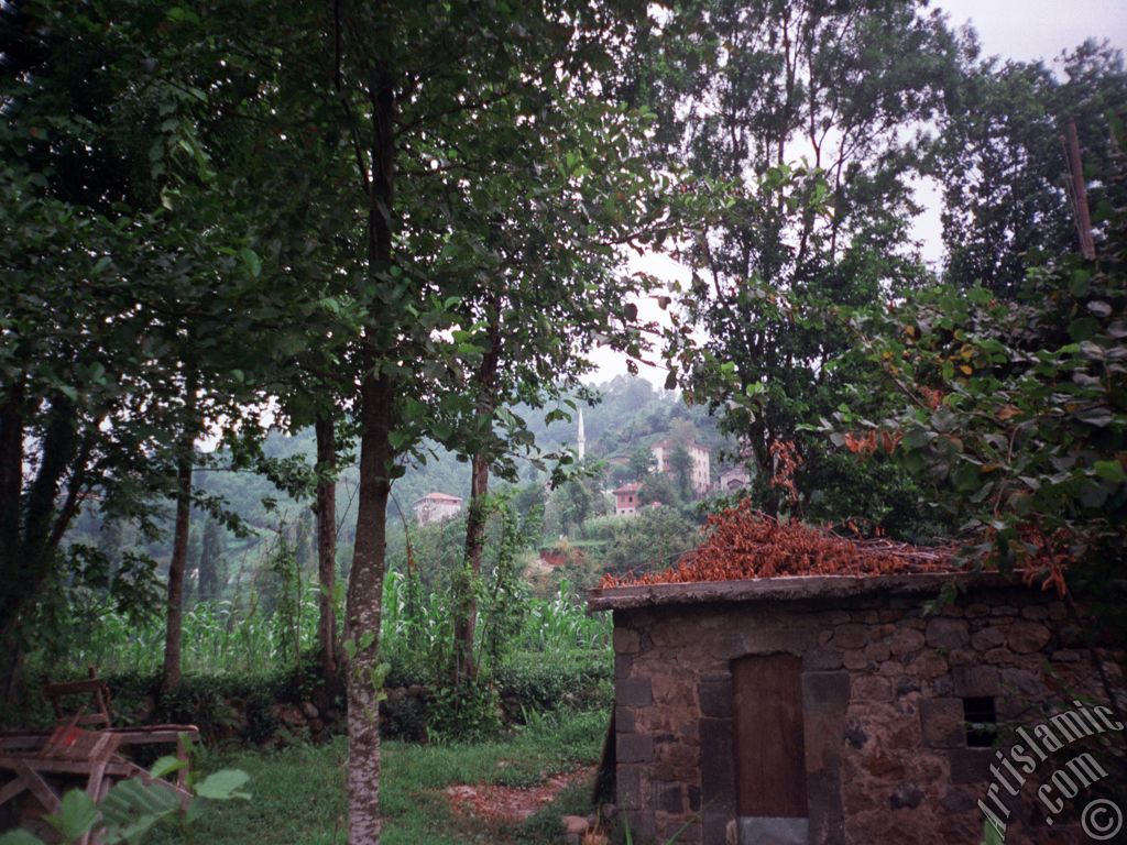 View of village from `OF district` in Trabzon city of Turkey.
