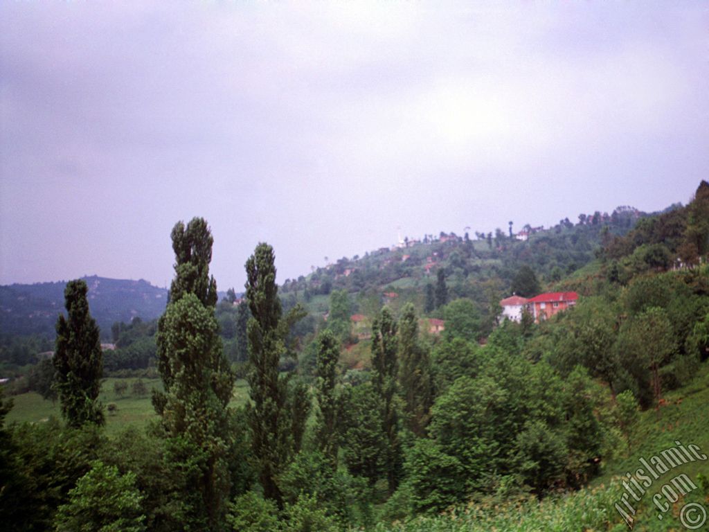View of village from `OF district` in Trabzon city of Turkey.
