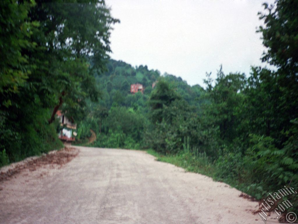 View of village from `OF district` in Trabzon city of Turkey.

