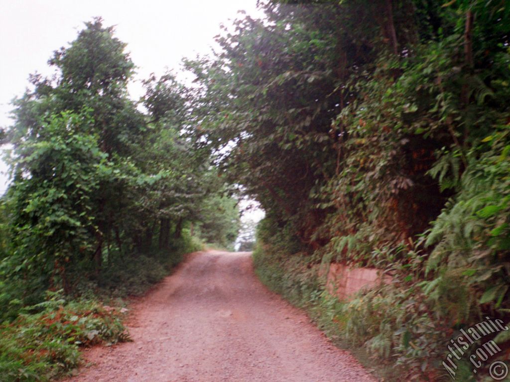 View of village from `OF district` in Trabzon city of Turkey.
