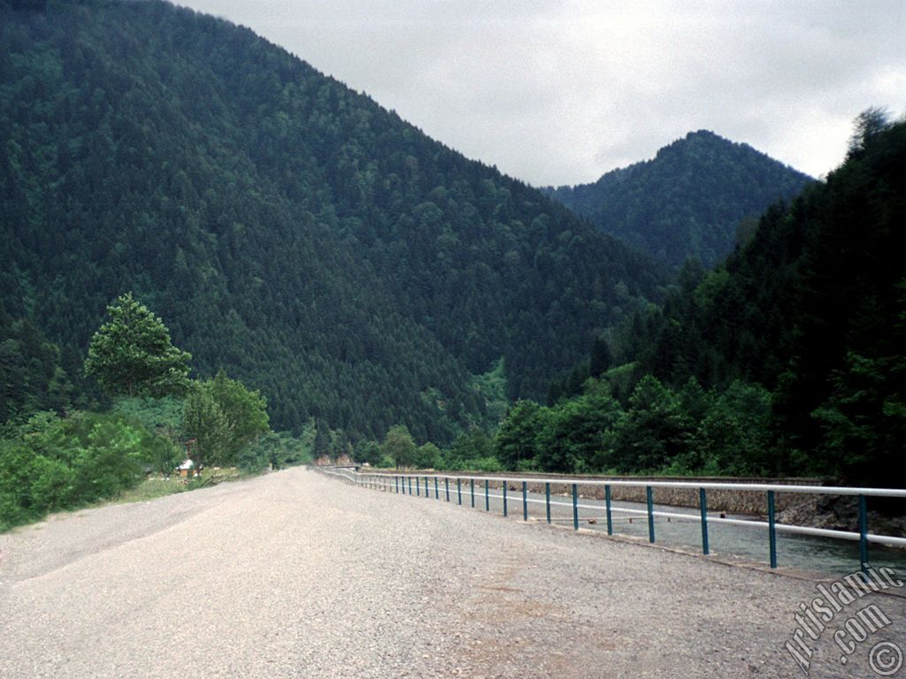 View of Uzungol high plateau located in Trabzon city of Turkey.

