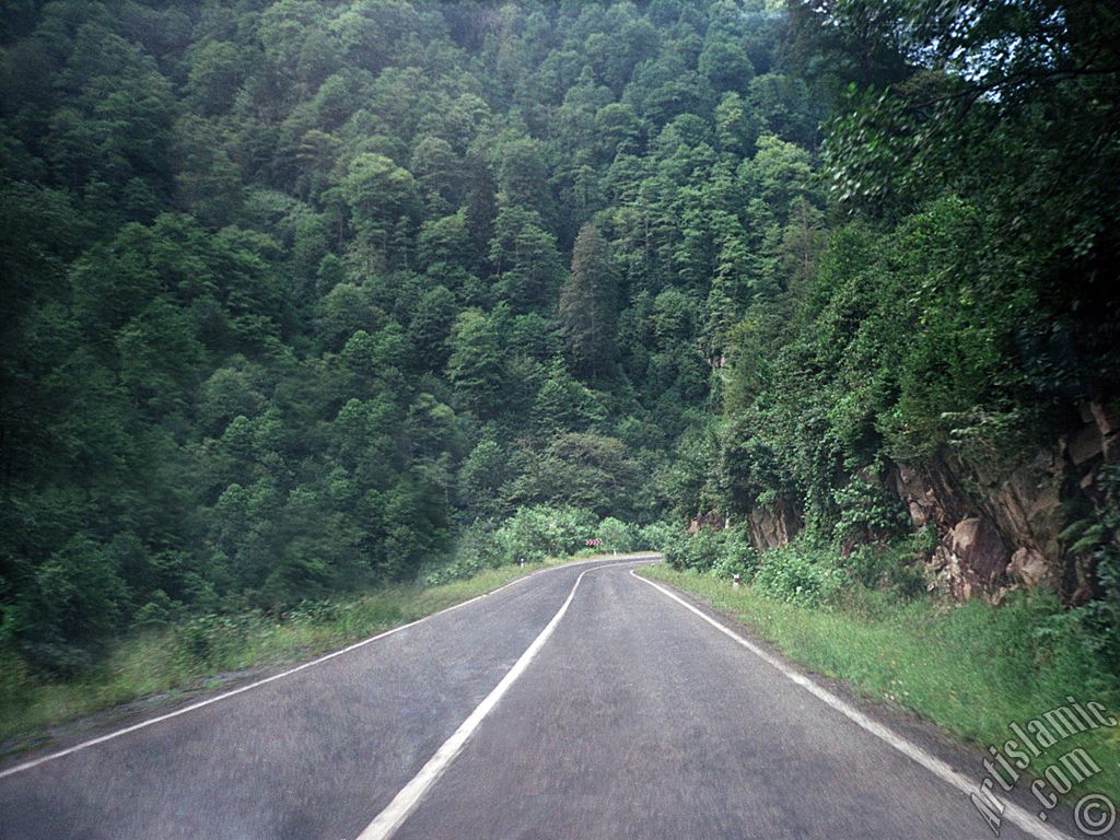 View of the high-way of Rize-Ayder high plateu in Turkey.
