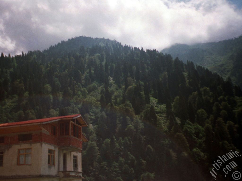 View of Ayder high plateau and spa located in Rize city of Turkey.
