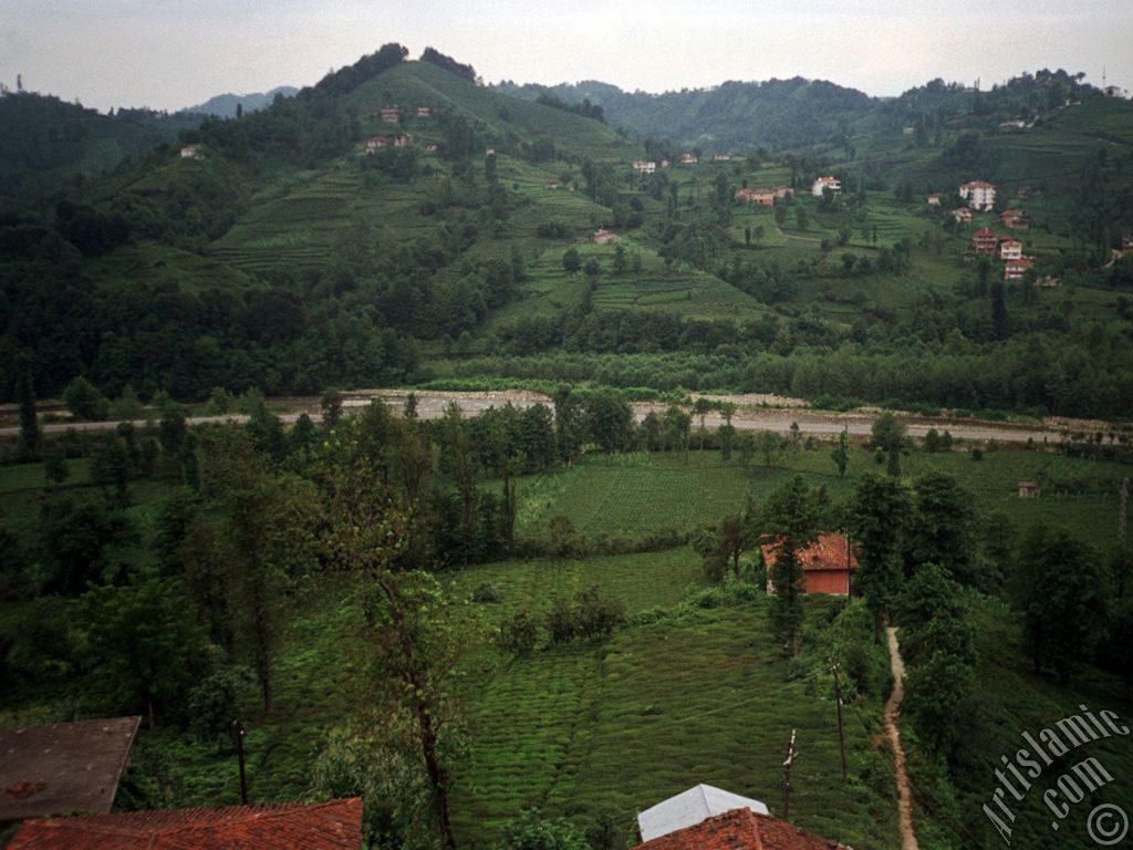 View of village from `OF district` in Trabzon city of Turkey.
