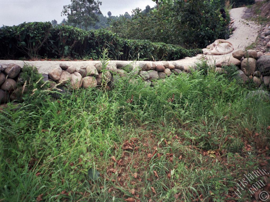 View of village from `OF district` in Trabzon city of Turkey.
