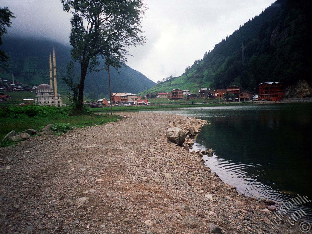 View of Uzungol high plateau located in Trabzon city of Turkey.
