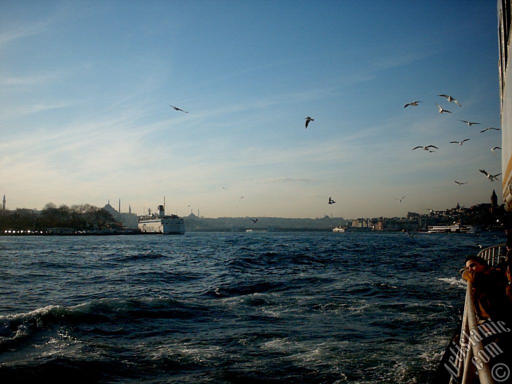 View of Sarayburnu coast, (from left) Beyazit Tower, Suleymaniye Mosque, on the horizon Fatih Mosque, Yavuz Sultan Selim Mosque, on the right Galata Tower, sea gulls accompanying the ship and a child daydreaming while he is watching Istanbul city from the Bosphorus in Turkey.
