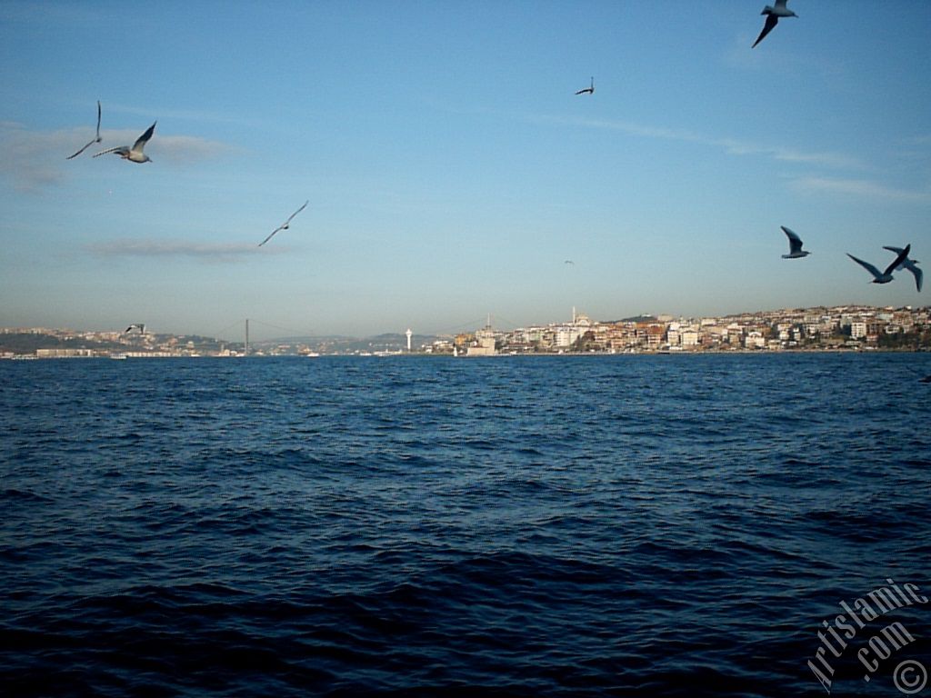 View of Bosphorus Bridge, Uskudar coast Kiz Kulesi (Maiden`s Tower) and sea gulls from the Bosphorus in Istanbul city of Turkey.
