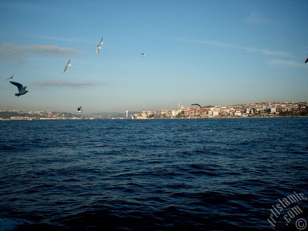 View of Bosphorus Bridge, Uskudar coast Kiz Kulesi (Maiden`s Tower) and sea gulls from the Bosphorus in Istanbul city of Turkey.
