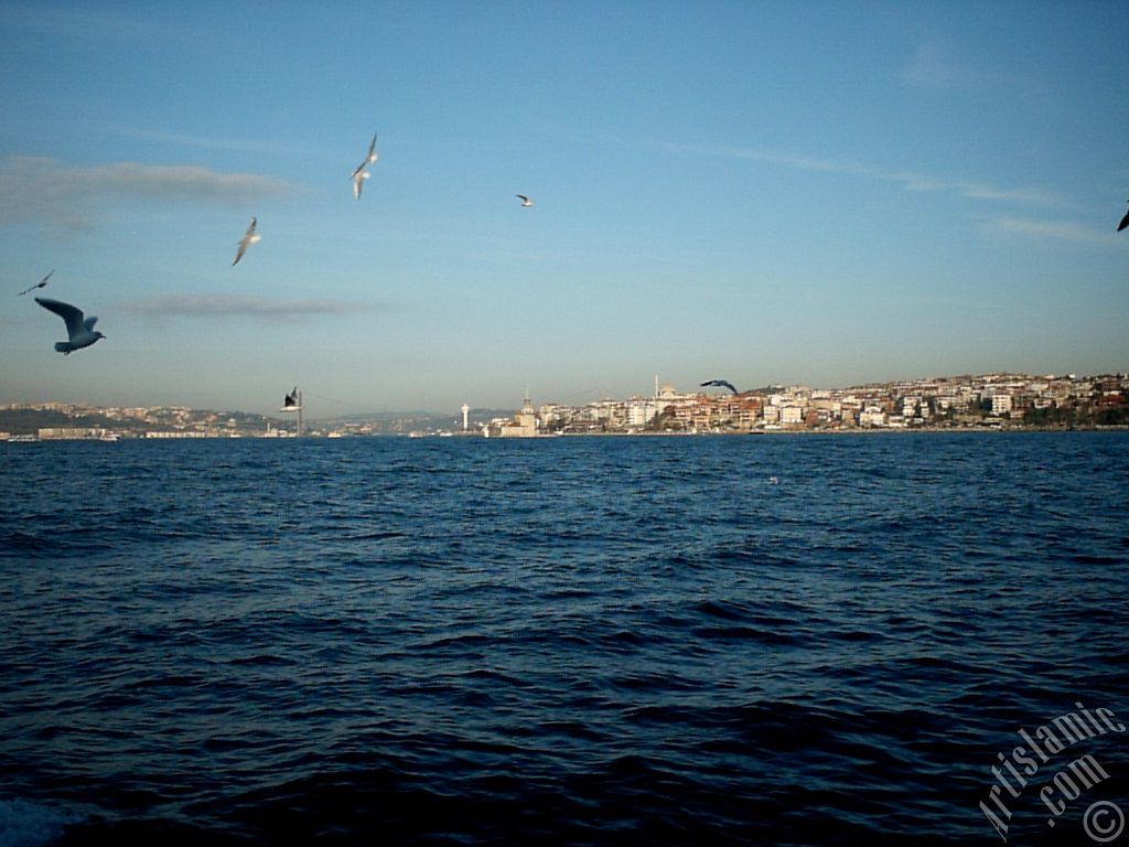 View of Bosphorus Bridge, Uskudar coast Kiz Kulesi (Maiden`s Tower) and sea gulls from the Bosphorus in Istanbul city of Turkey.
