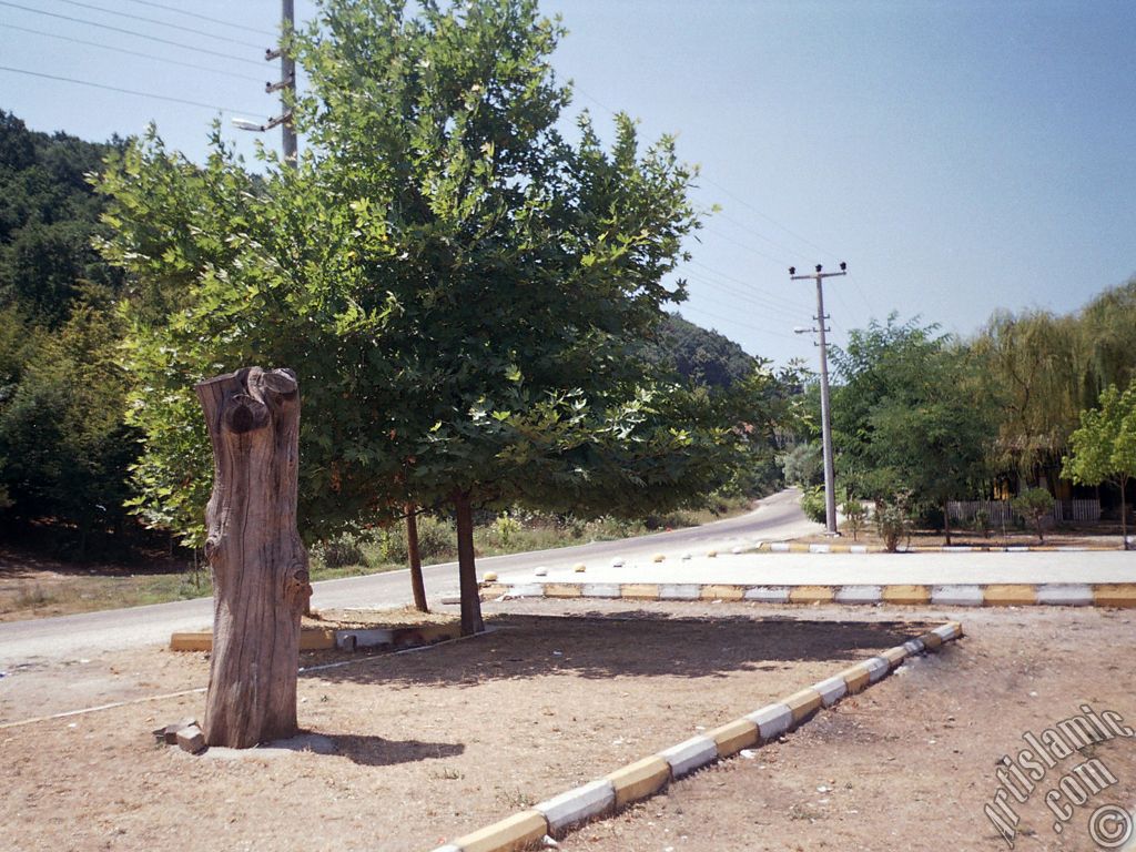 View of Termal-Gokcedere Village in Yalova city of Turkey.
