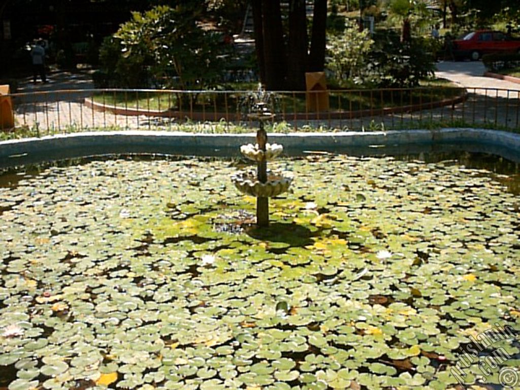 View of Termal-Gokcedere Village in Yalova city of Turkey.
