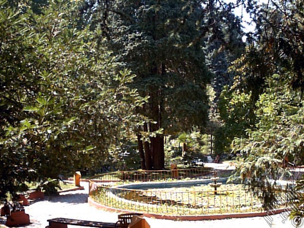 View of Termal-Gokcedere Village in Yalova city of Turkey.
