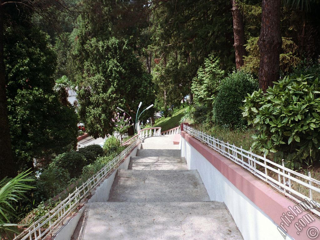 View of Termal-Gokcedere Village in Yalova city of Turkey.

