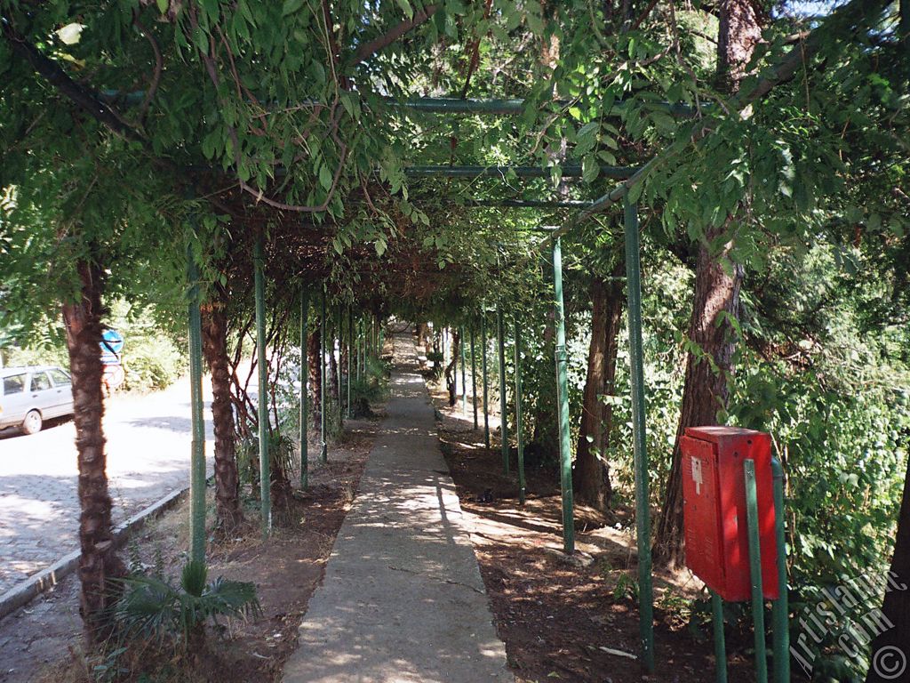 View of Termal-Gokcedere Village in Yalova city of Turkey.
