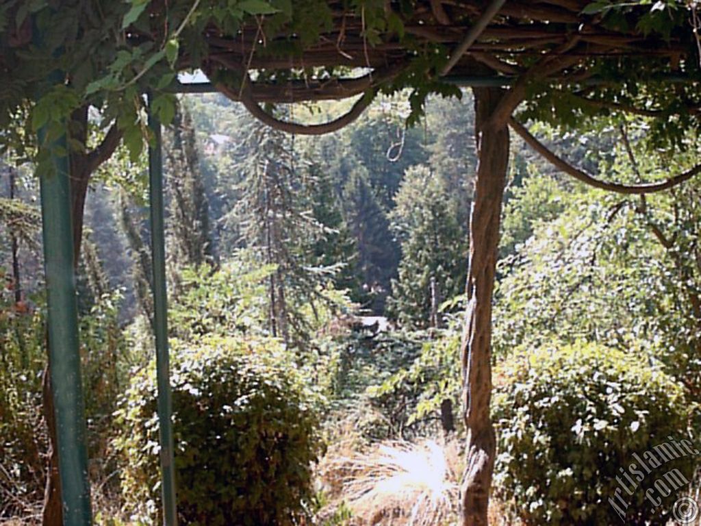 View of Termal-Gokcedere Village in Yalova city of Turkey.
