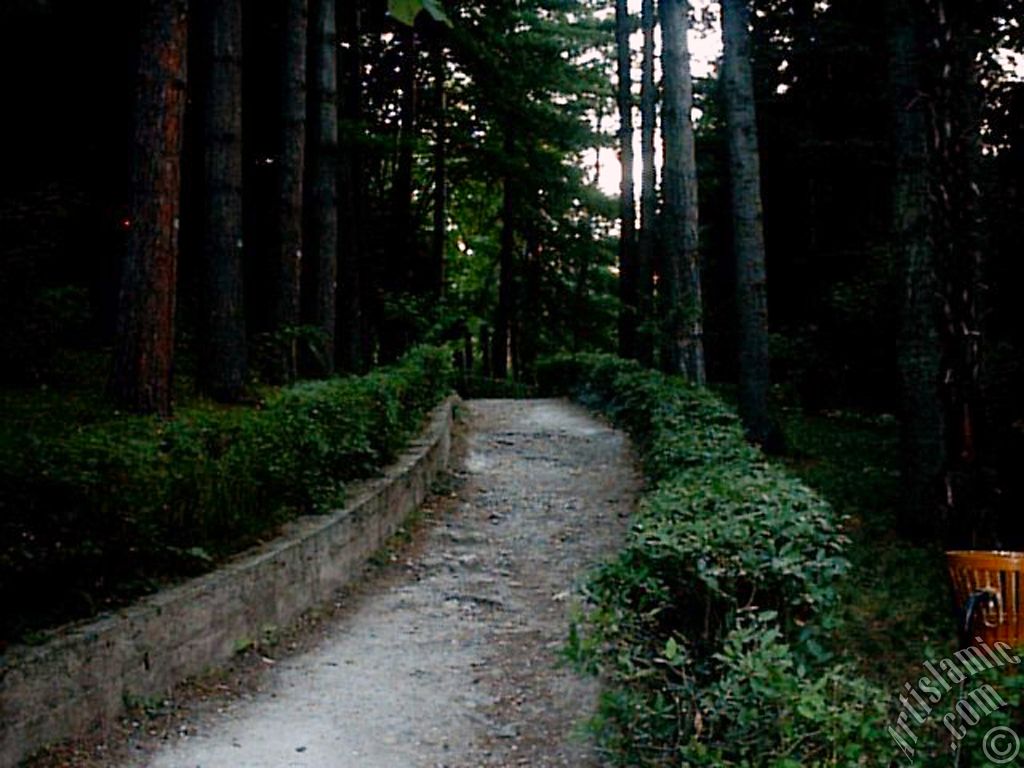 View of Termal-Gokcedere Village in Yalova city of Turkey.
