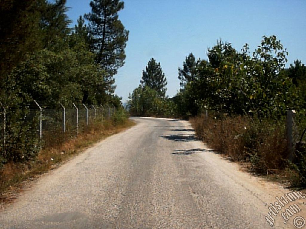 View of Termal-Gokcedere Village in Yalova city of Turkey.
