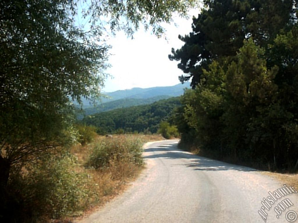 View of Termal-Gokcedere Village in Yalova city of Turkey.
