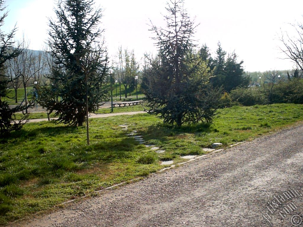 View of Botanical Park in Bursa city of Turkey.
