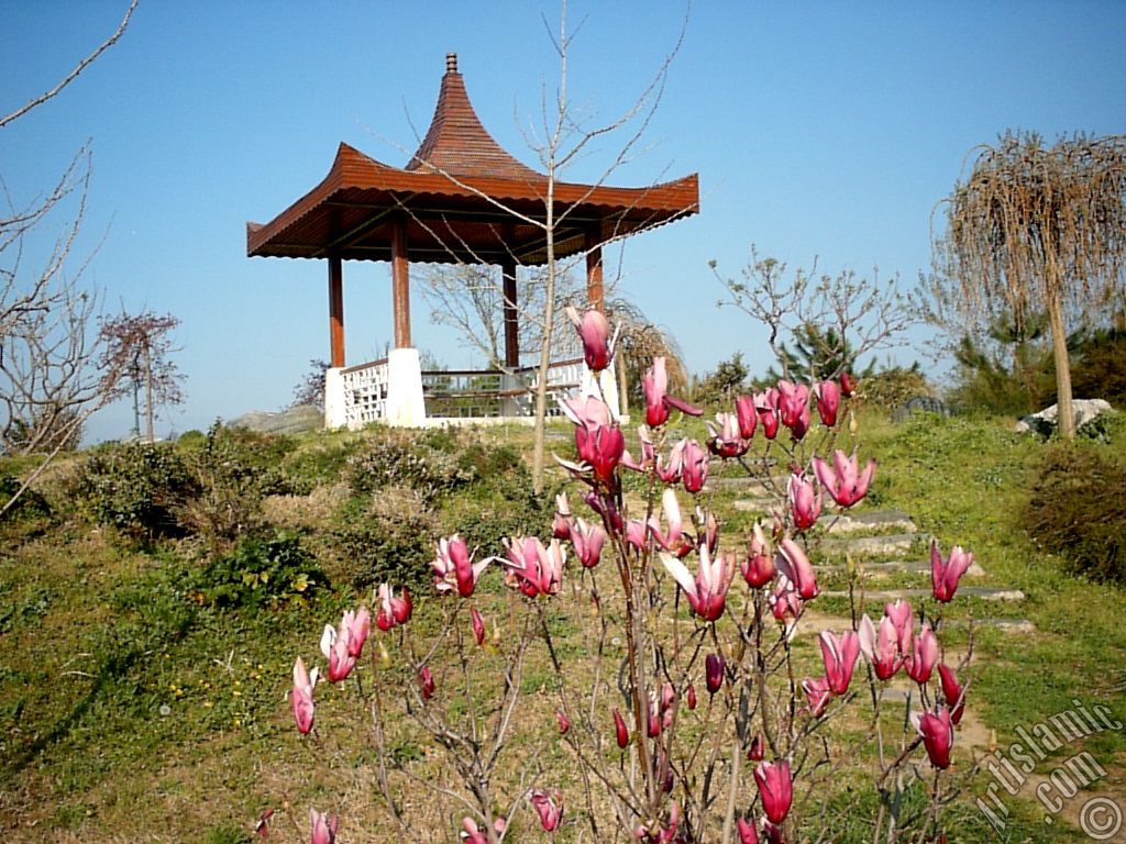 View of Botanical Park in Bursa city of Turkey.
