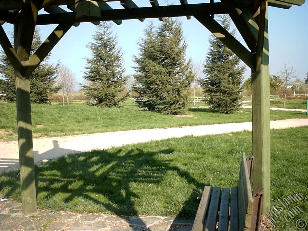 View of Botanical Park in Bursa city of Turkey.
