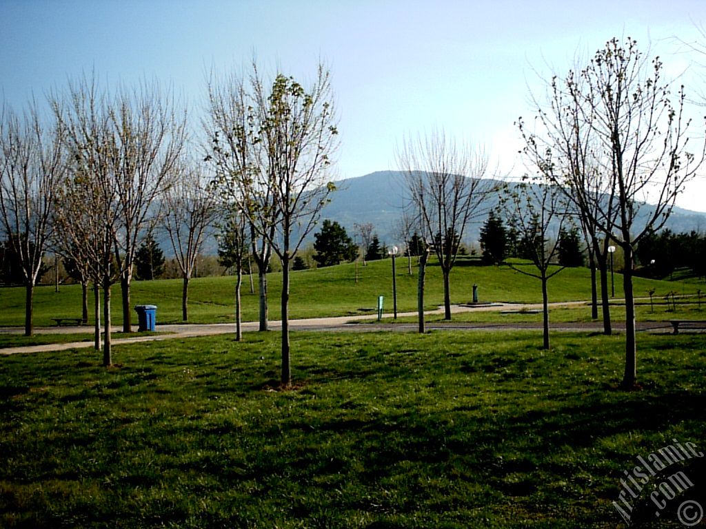 View of Botanical Park in Bursa city of Turkey.

