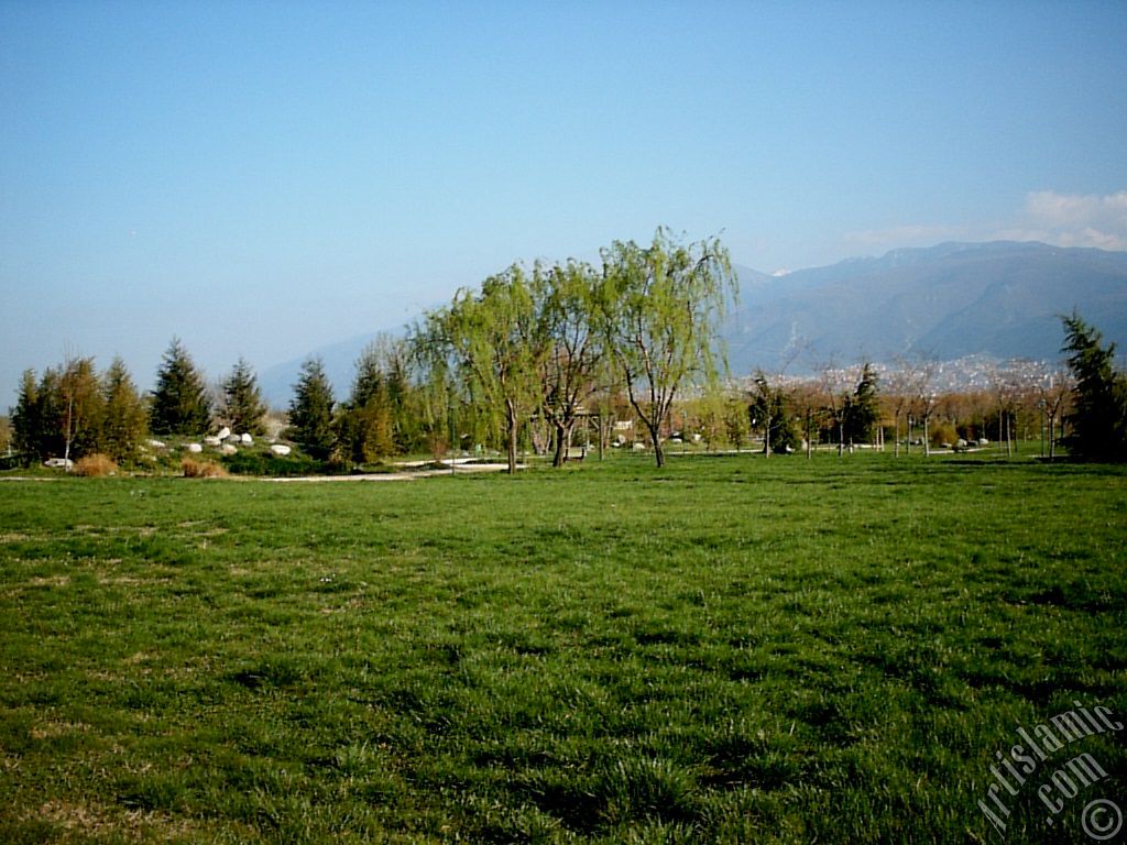 View of Botanical Park in Bursa city of Turkey.
