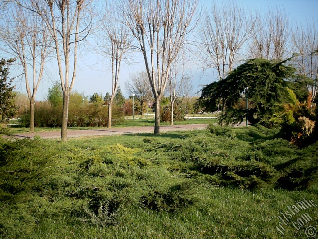 View of Botanical Park in Bursa city of Turkey.
