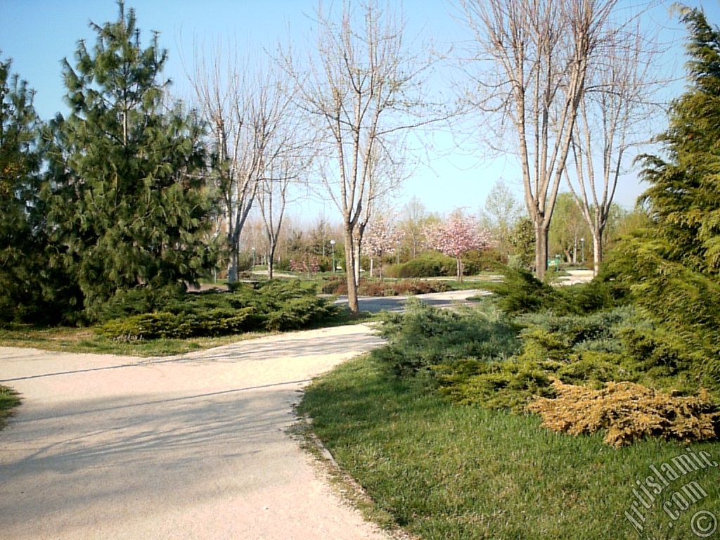 View of Botanical Park in Bursa city of Turkey.
