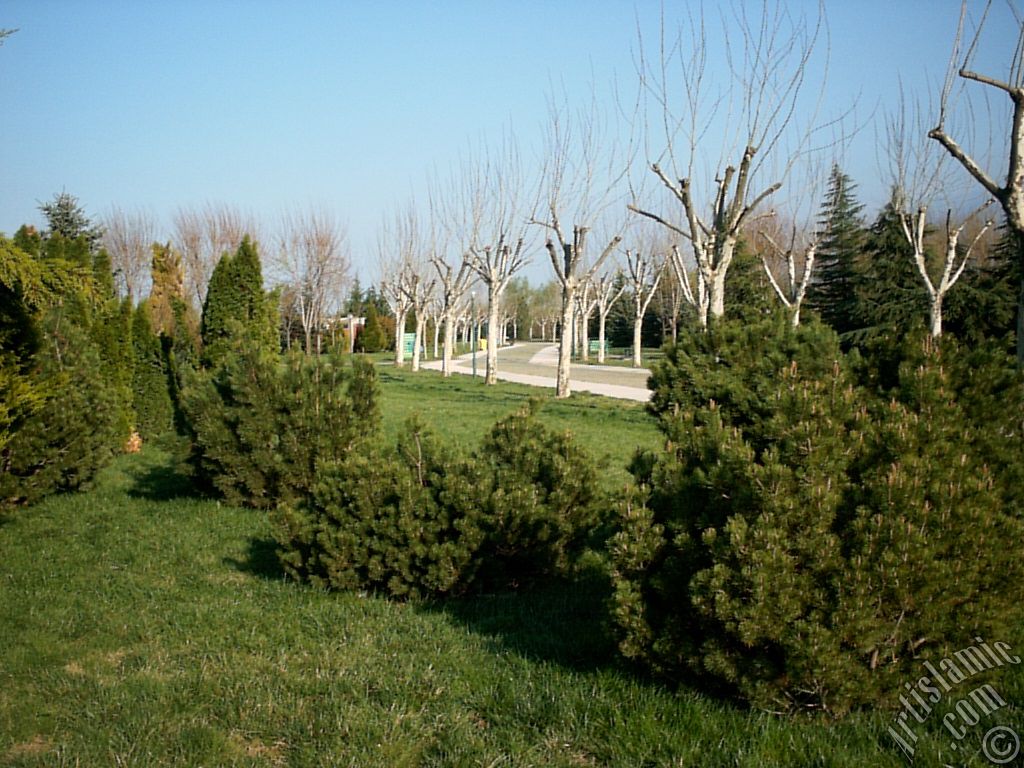View of Botanical Park in Bursa city of Turkey.
