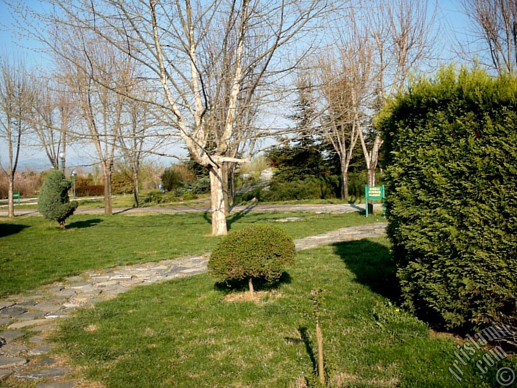 View of Botanical Park in Bursa city of Turkey.
