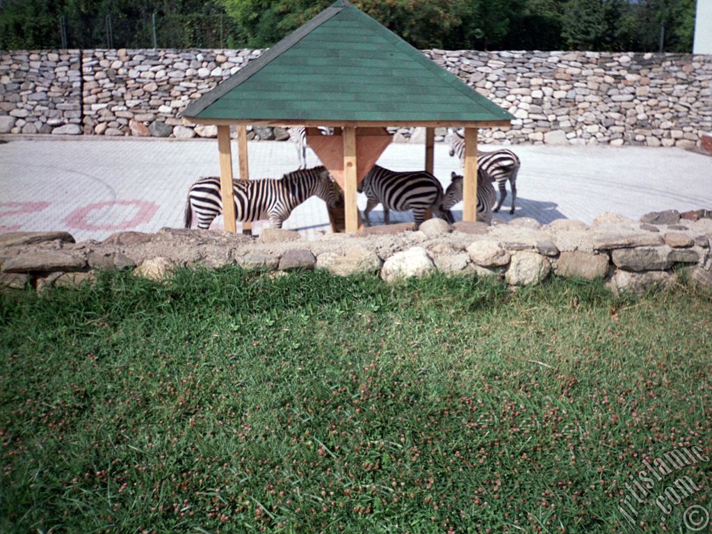 View of Bursa city`s zoo in Turkey.
