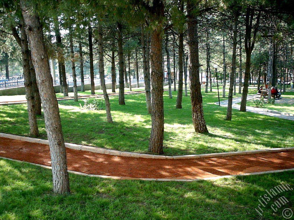 View of a park in Fethiye district in Bursa city of Turkey.
