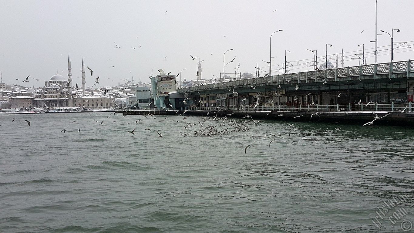 �zel �ekim kar ve k�� foto�raflar�m�z: �stanbul`un Fatih, Zeyrek, Per�embe Pazar�, Emin�n�, Karak�y, Cihangir, F�nd�kl� ve Kabata� Semtlerinden.
