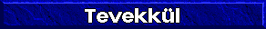 Tevekk�l Konulu Arastirma